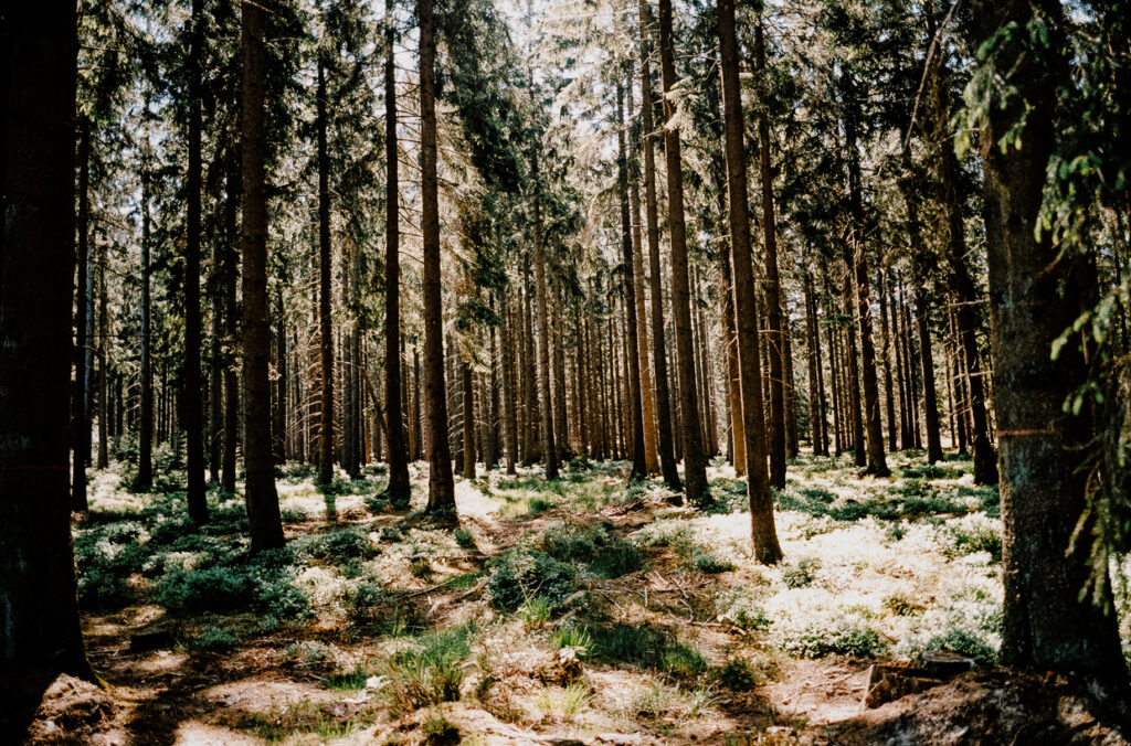 Hohes Venn Benventures©Ben Hammer