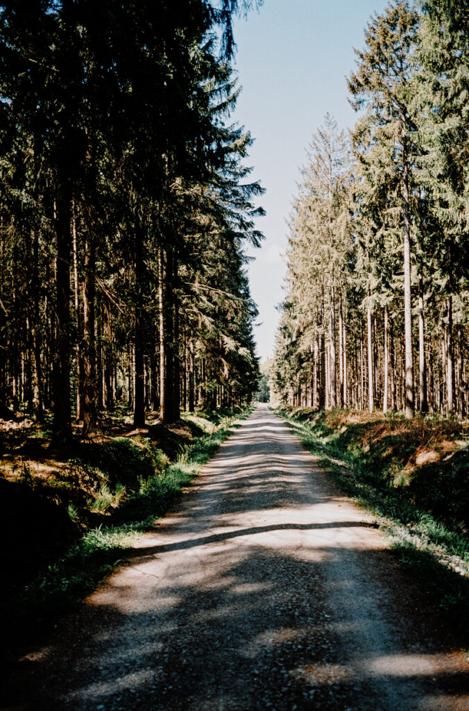 Hohes Venn Benventures©Ben Hammer 2