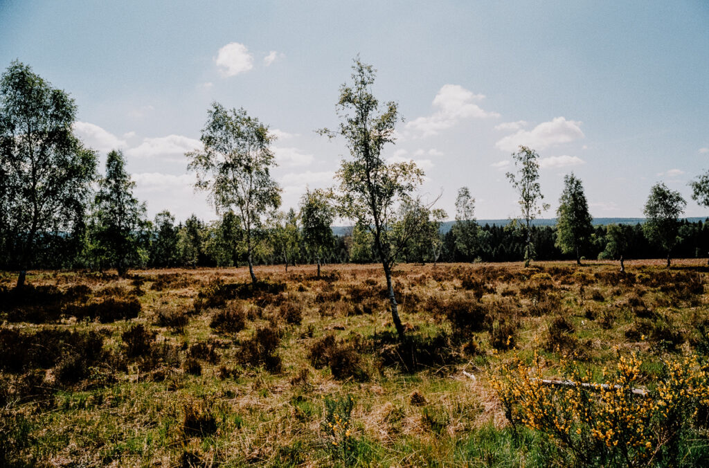 Hohes Venn Benventures©Ben Hammer 3