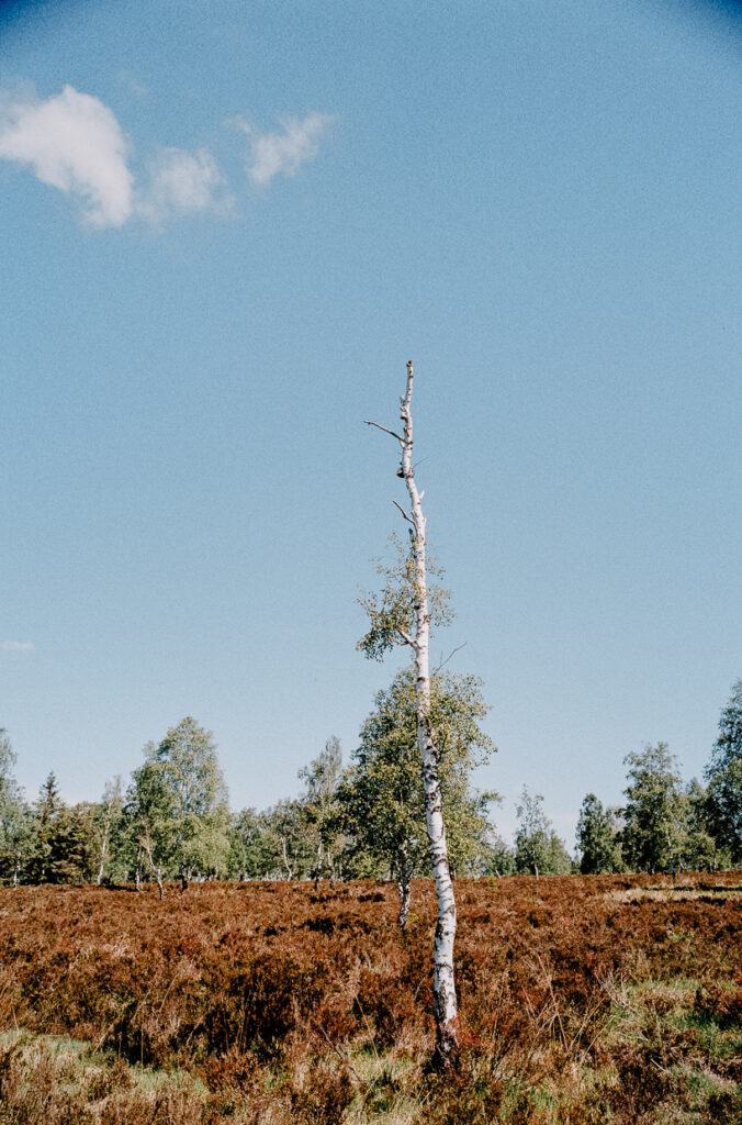 Hohes Venn Benventures©Ben Hammer 5