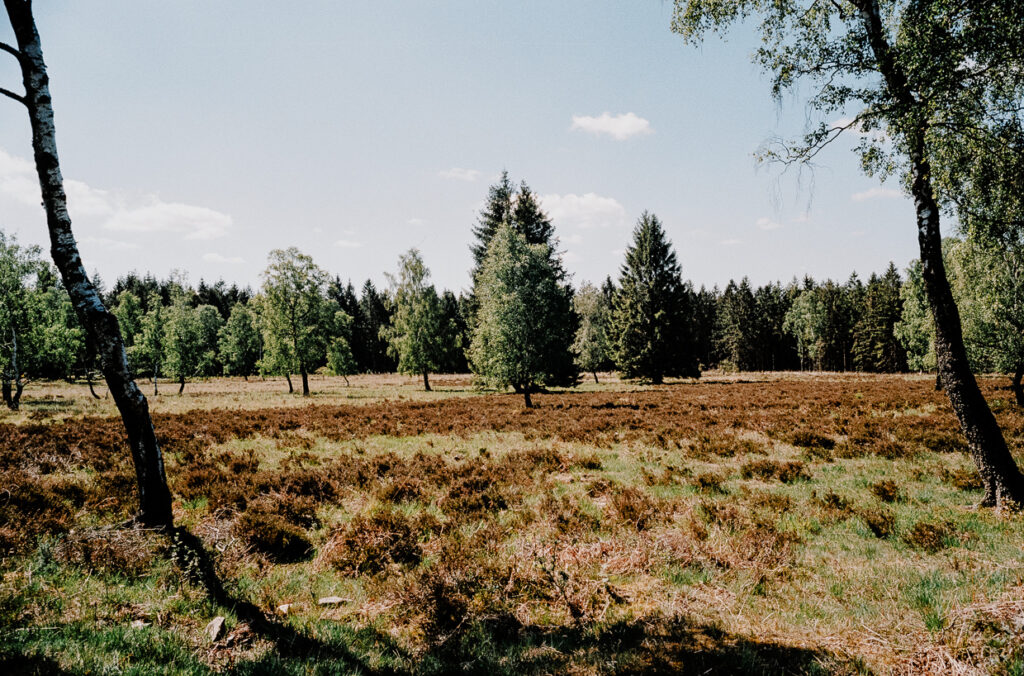 Hohes Venn Benventures©Ben Hammer 6