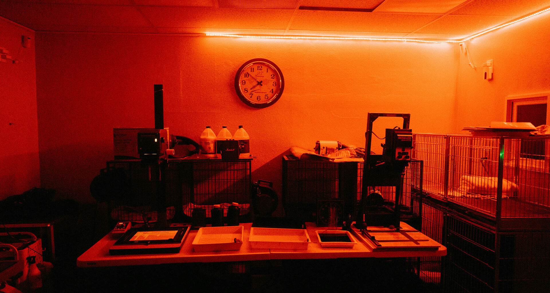 Filme entwickeln lassen – Die besten Fotolabore für deine Analogfotografie
