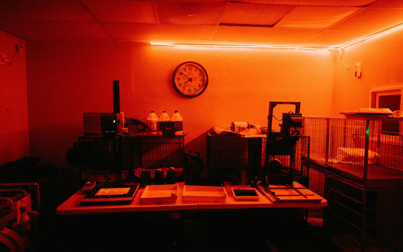 Filme entwickeln lassen – Die besten Fotolabore für deine Analogfotografie